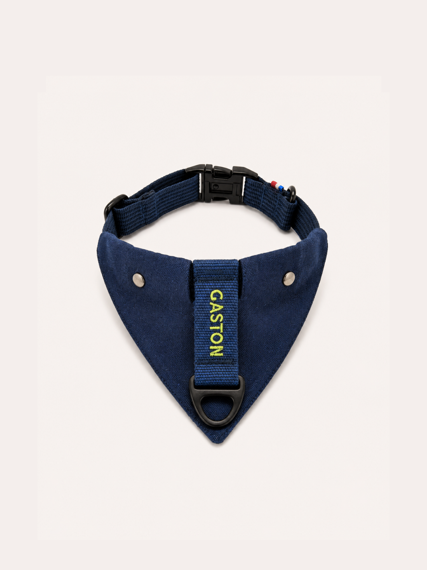 Collier Bleu néon et Bandana bleu amovible