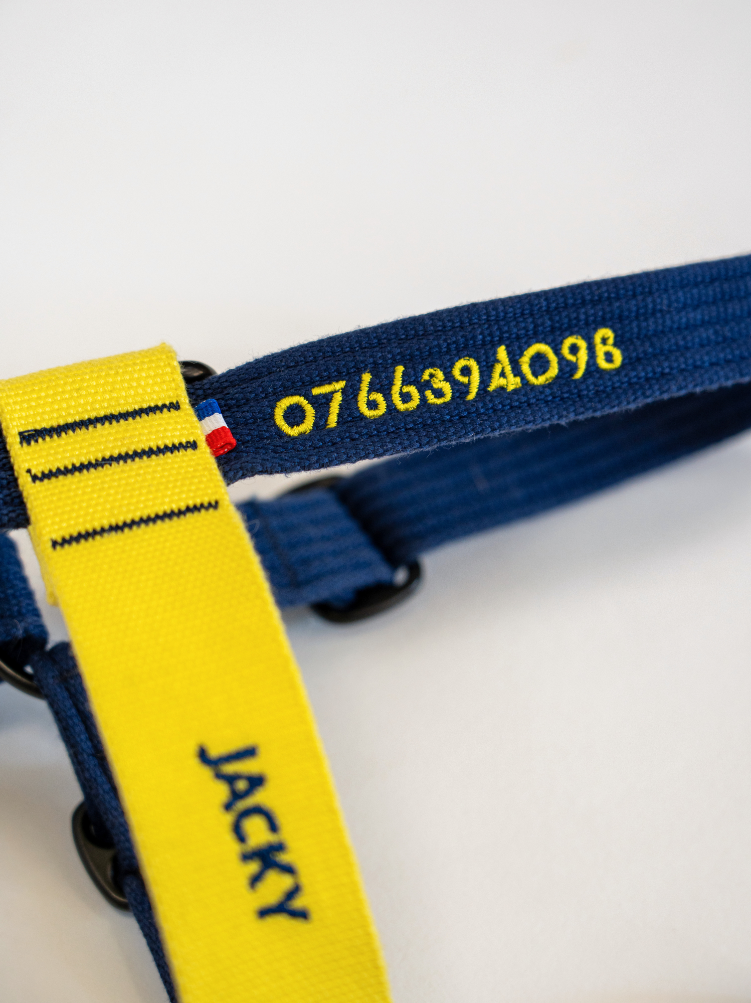 Harnais classique Bleu-Jaune
