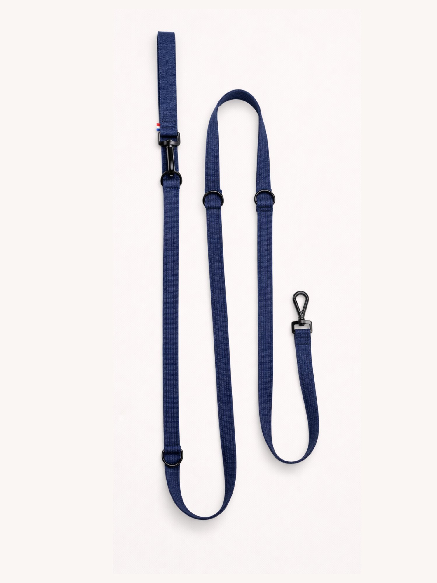 Laisse modulable Bleue